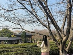 -凤凰沟景区