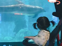 -福州罗源湾海洋世界旅游区