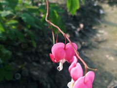 -江南大学(蠡湖校区)