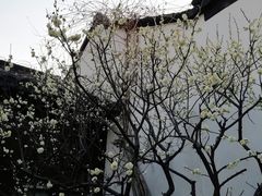 -南京市民俗博物馆(甘熙故居)