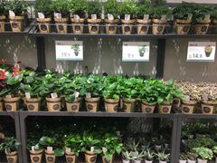 -鹿岛会员店 (龙湖三千集天街店)