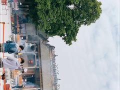 -悦城龙母祖庙