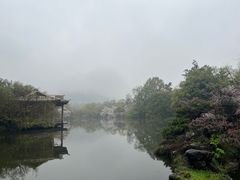 -西湖游船