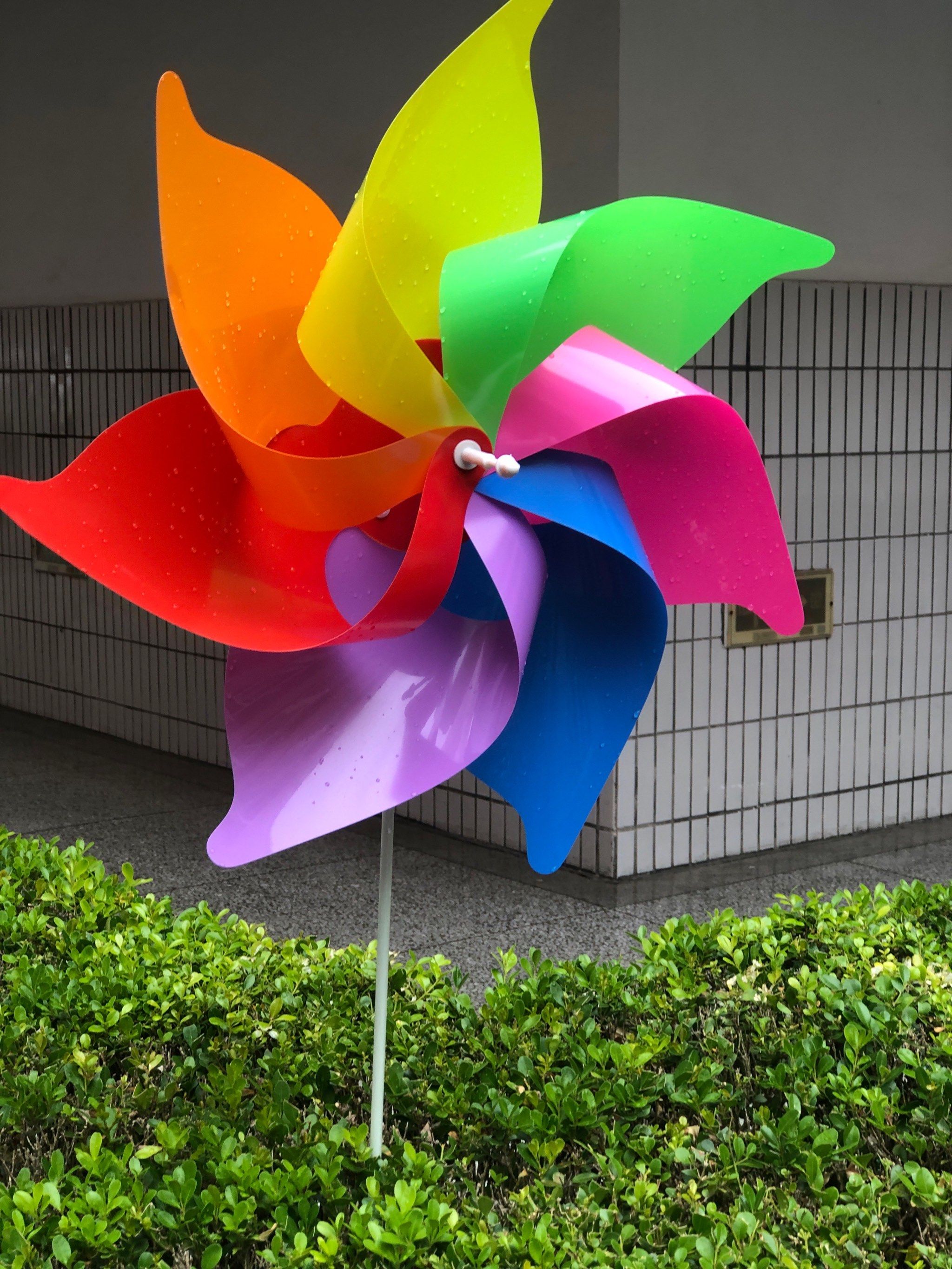 心中有小风车,哪里都有小风车