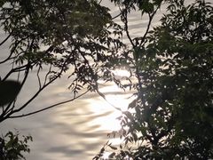 -艾溪湖湿地公园