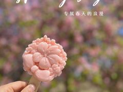 -上海辰山植物园