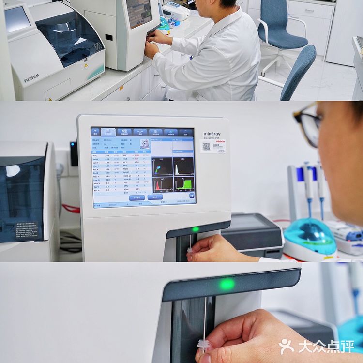 上海宠物医院良心推荐！！！！！！