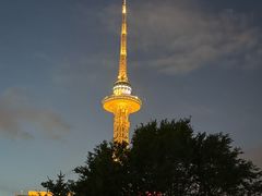 -龙塔