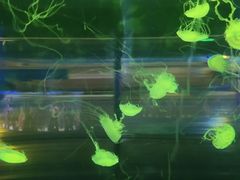 -重庆欢乐海底世界