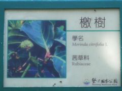 -鹅銮鼻公园