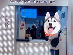 -烧柠·柠檬茶(大融城店)