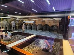-海韵之星邮轮水会(明发商业广场店)