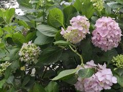 -白鹿洞书院