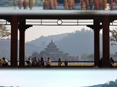 -顺峰山公园