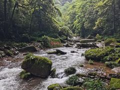 -碧峰峡风景区
