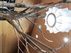 -茶颜悦色(登高路上店)