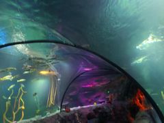 -沈阳海洋探索中心