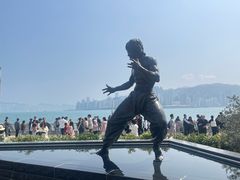 -星光大道