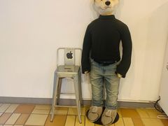 -济州岛泰迪熊博物馆