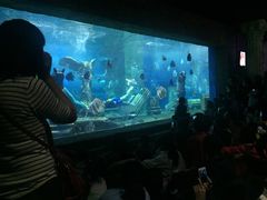 -梦幻海洋王国(吾悦广场张家港店)