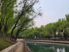 -南长河公园