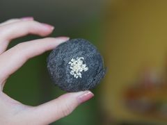 -稻香村金沟河第33营业部