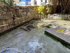 -大理老字号·舟渔的鱼野生菌海景餐厅(双廊店)