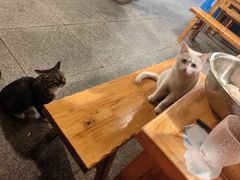 -九九牛肉馆(南山路店)