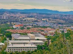 -大岭沟猕猴桃谷风景区