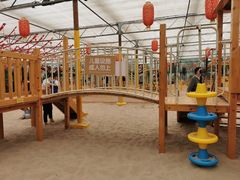 -南宫五洲植物乐园