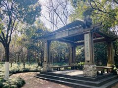 -上海吴淞炮台湾国家湿地公园