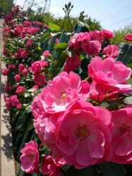 -奥丽维娅美容养生会所