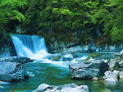 -光雾山旅游景区