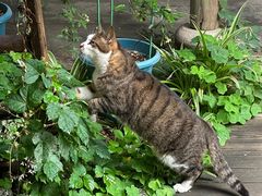 -小雅青年旅舍(平江路店)