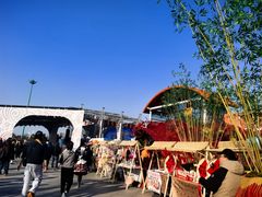 -荷兰花海