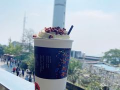 -茶颜悦色(岳麓山顶店)