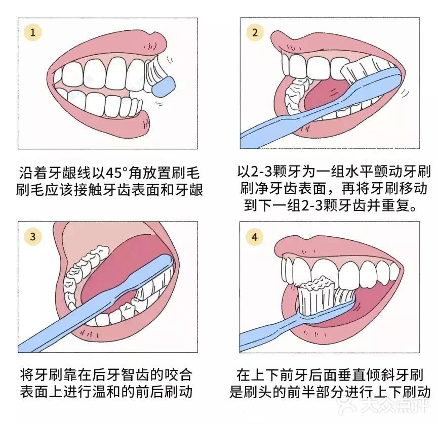 口腔护理擦拭顺序图片图片