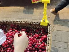 -全而廉(靖宇中路店)