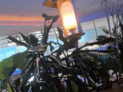 -桂满陇·蟹黄小笼汤包(清河万象店)