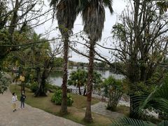 -三亚珠江南田温泉度假区