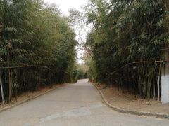-石老人观光园