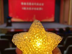 -上海市东方医院(总院)