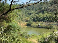 -芦仙山景区-飞越丛林探险乐园