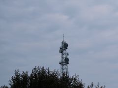 -大兴滨河森林公园