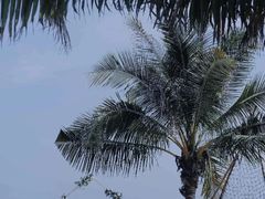 -玫瑰海岸文化旅游度假区