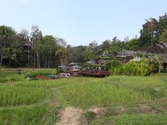 -四季酒店下午茶