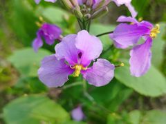 -中国天府农业博览园