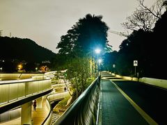-银湖山郊野公园-相思林