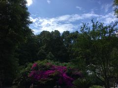 -都江堰普照寺