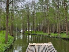-尚湖风景区